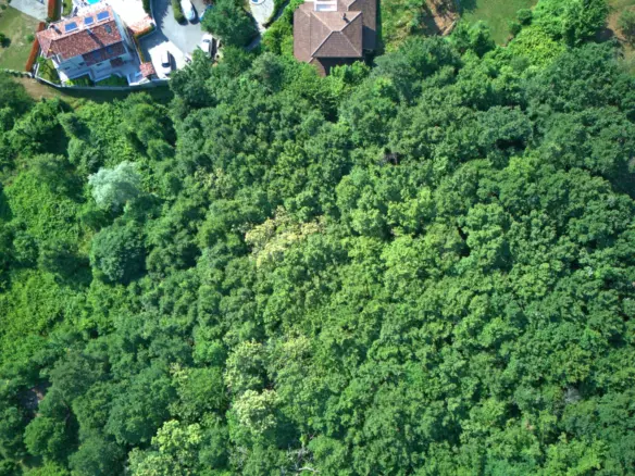 Land In Dobreć, Croatia (20.550 M²)