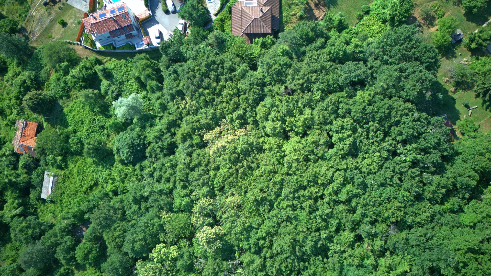 Land In Dobreć, Croatia (20.550 M²)