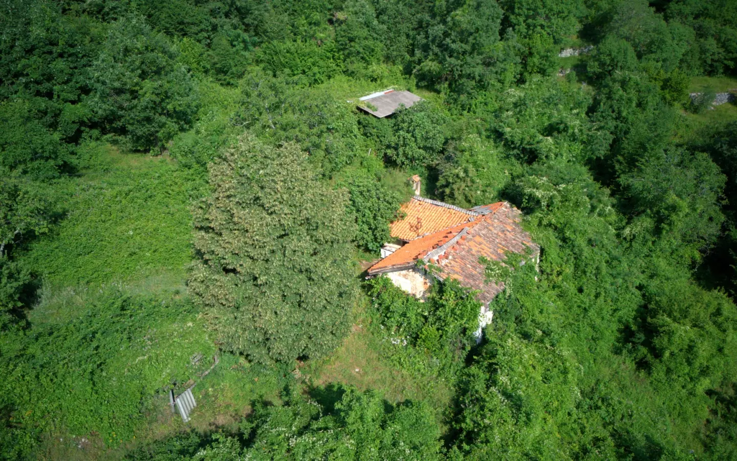 Land In Dobreć, Croatia (20.550 M²)