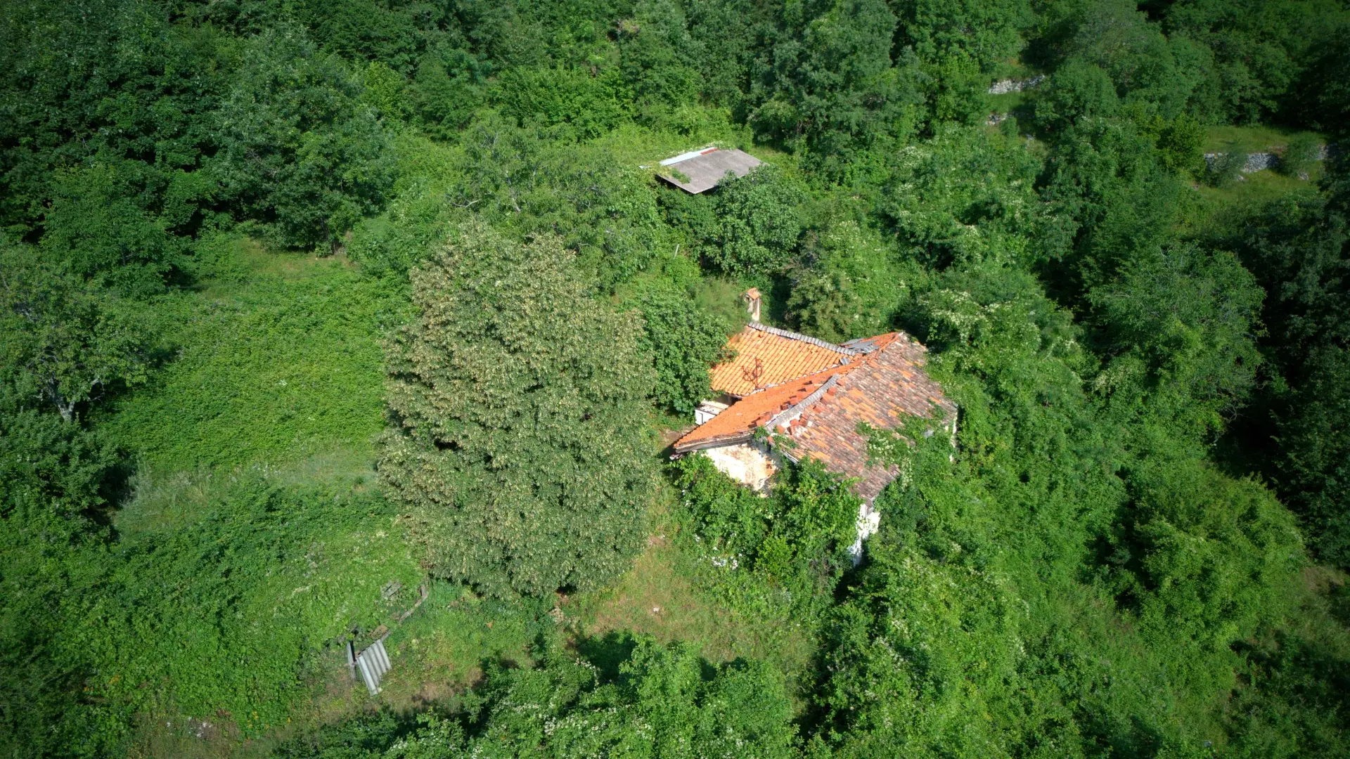 Land In Dobreć, Croatia (20.550 M²)