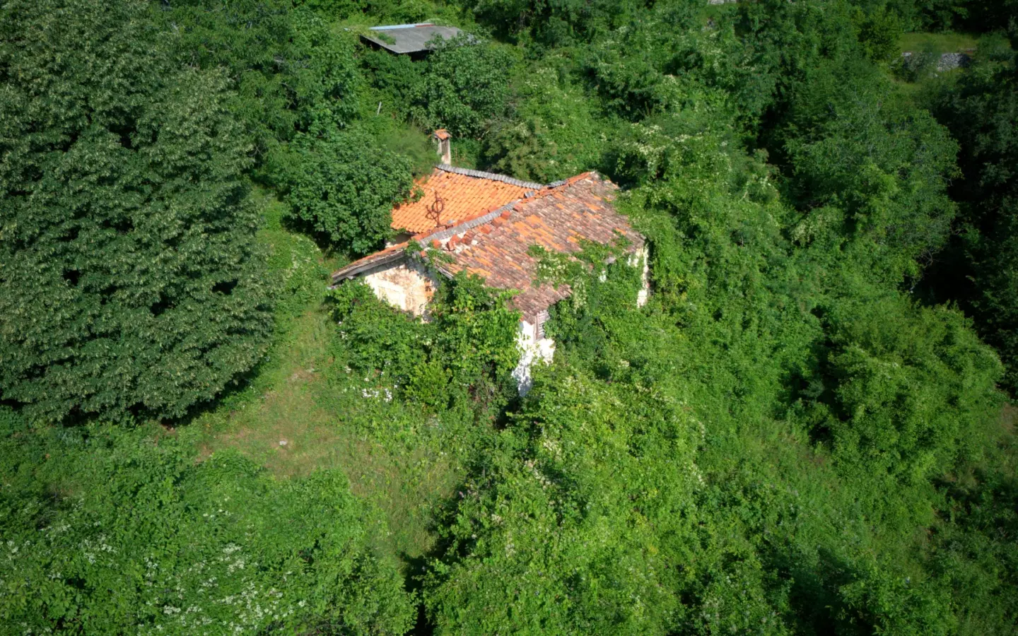 Land In Dobreć, Croatia (20.550 M²)