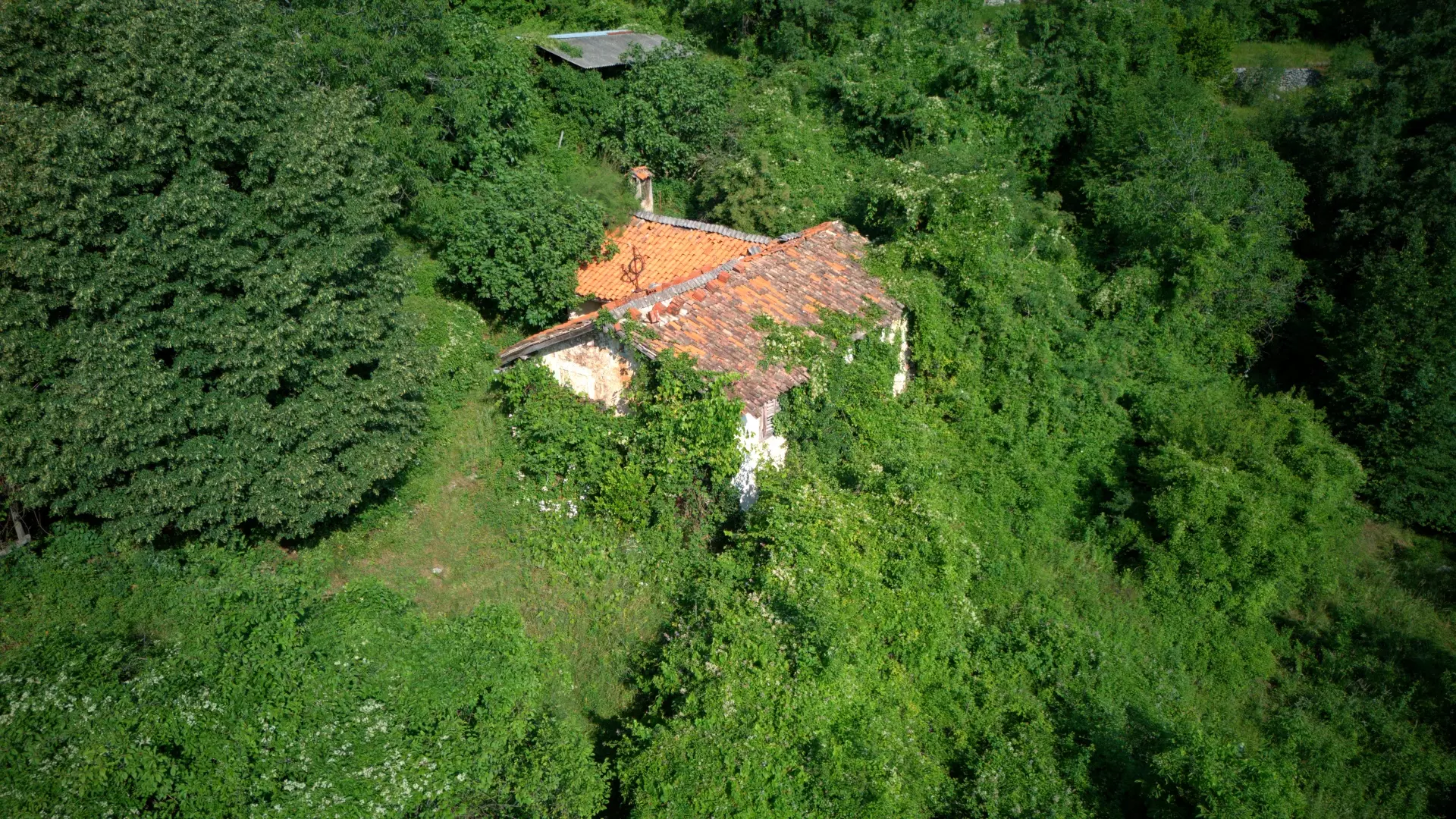 Land In Dobreć, Croatia (20.550 M²)