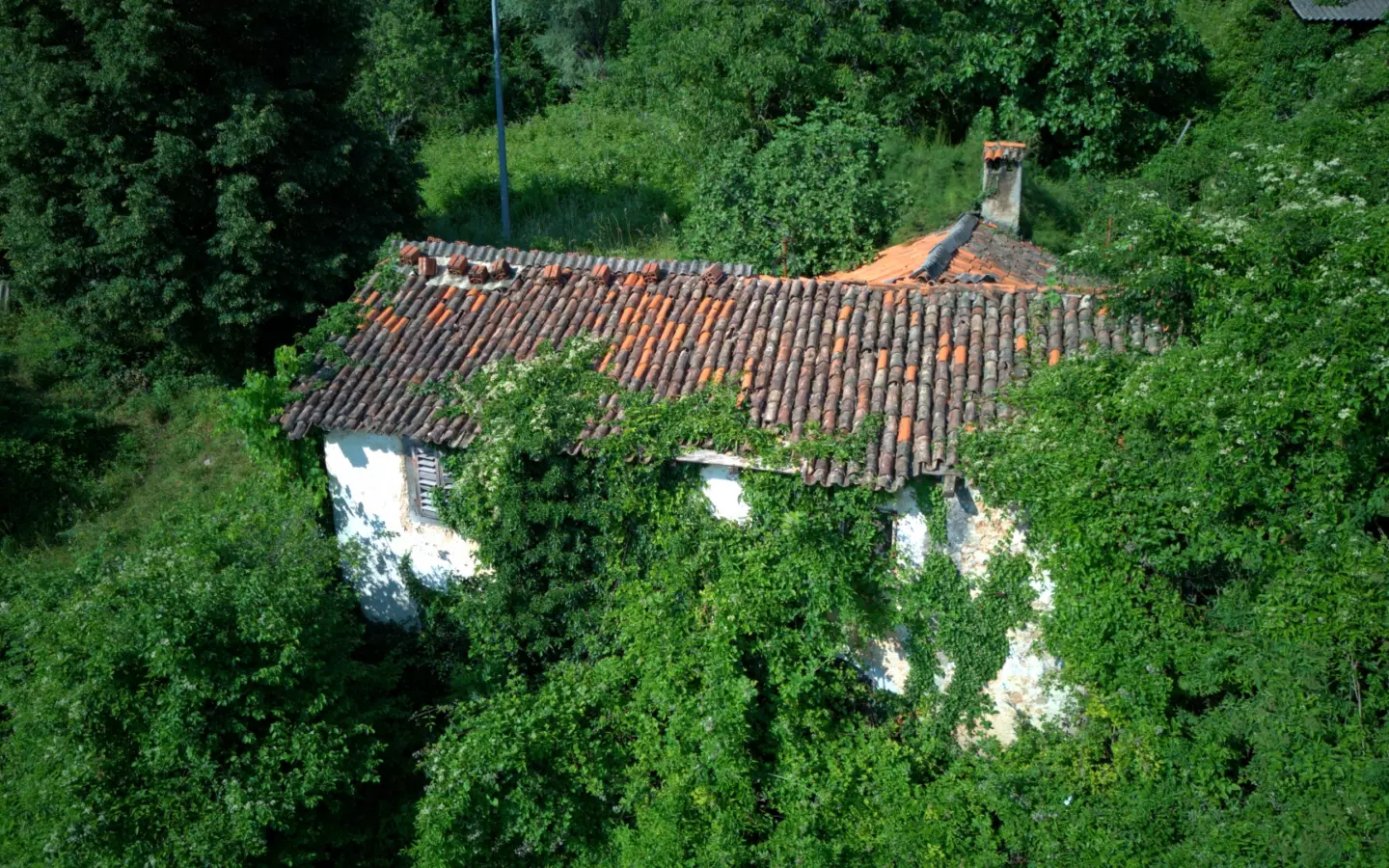 Land In Dobreć, Croatia (20.550 M²)