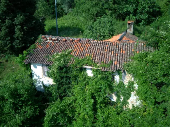 Land In Dobreć, Croatia (20.550 M²)