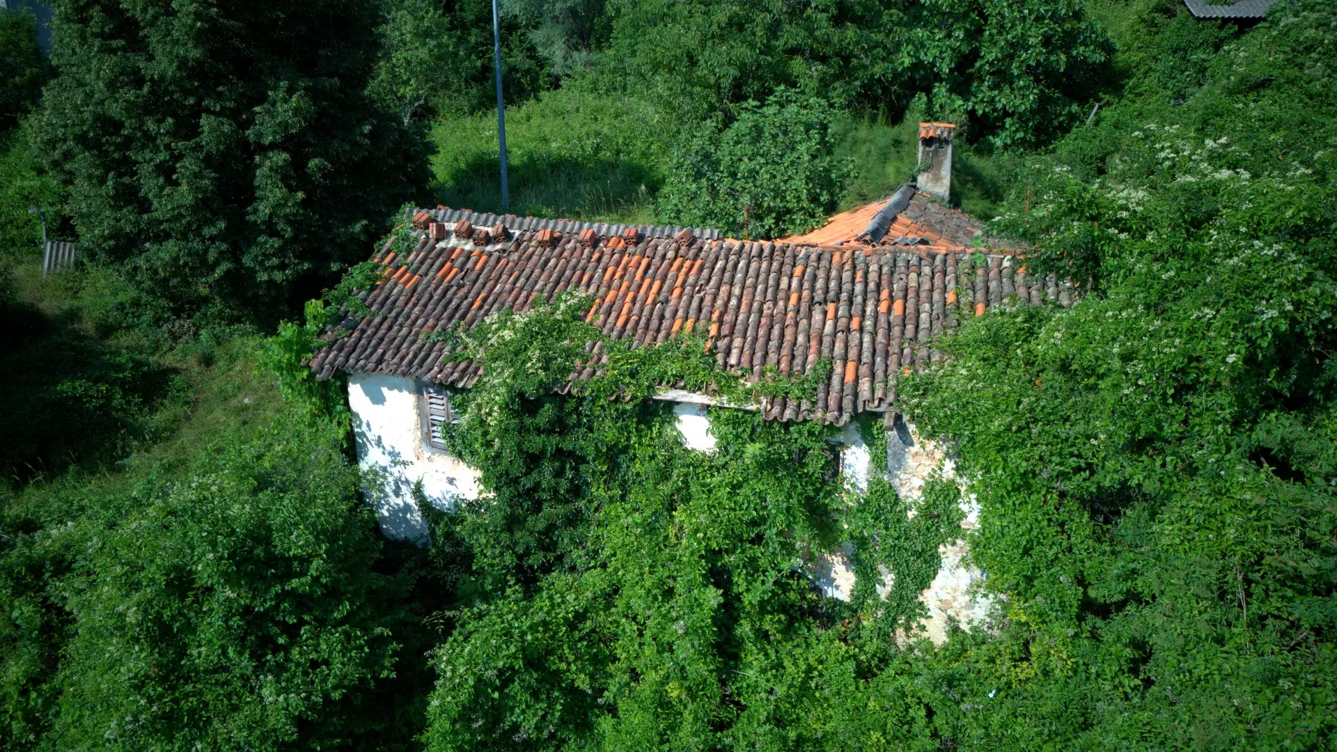 Land In Dobreć, Croatia (20.550 M²)