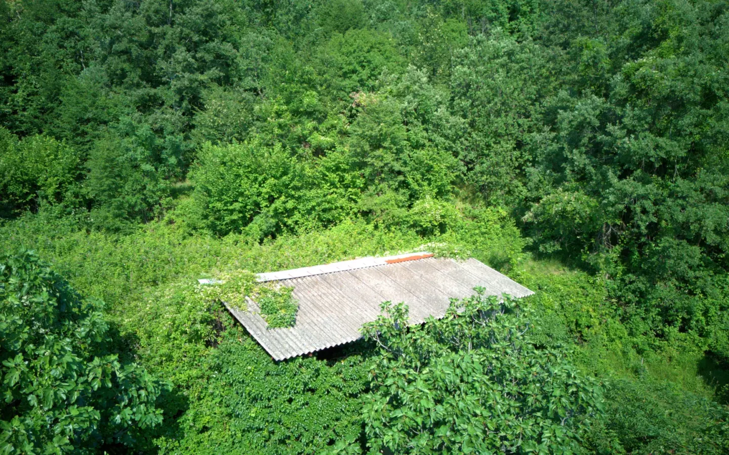Land In Dobreć, Croatia (4.747 M²)