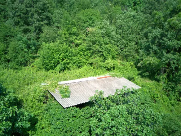 Land In Dobreć, Croatia (4.747 M²)