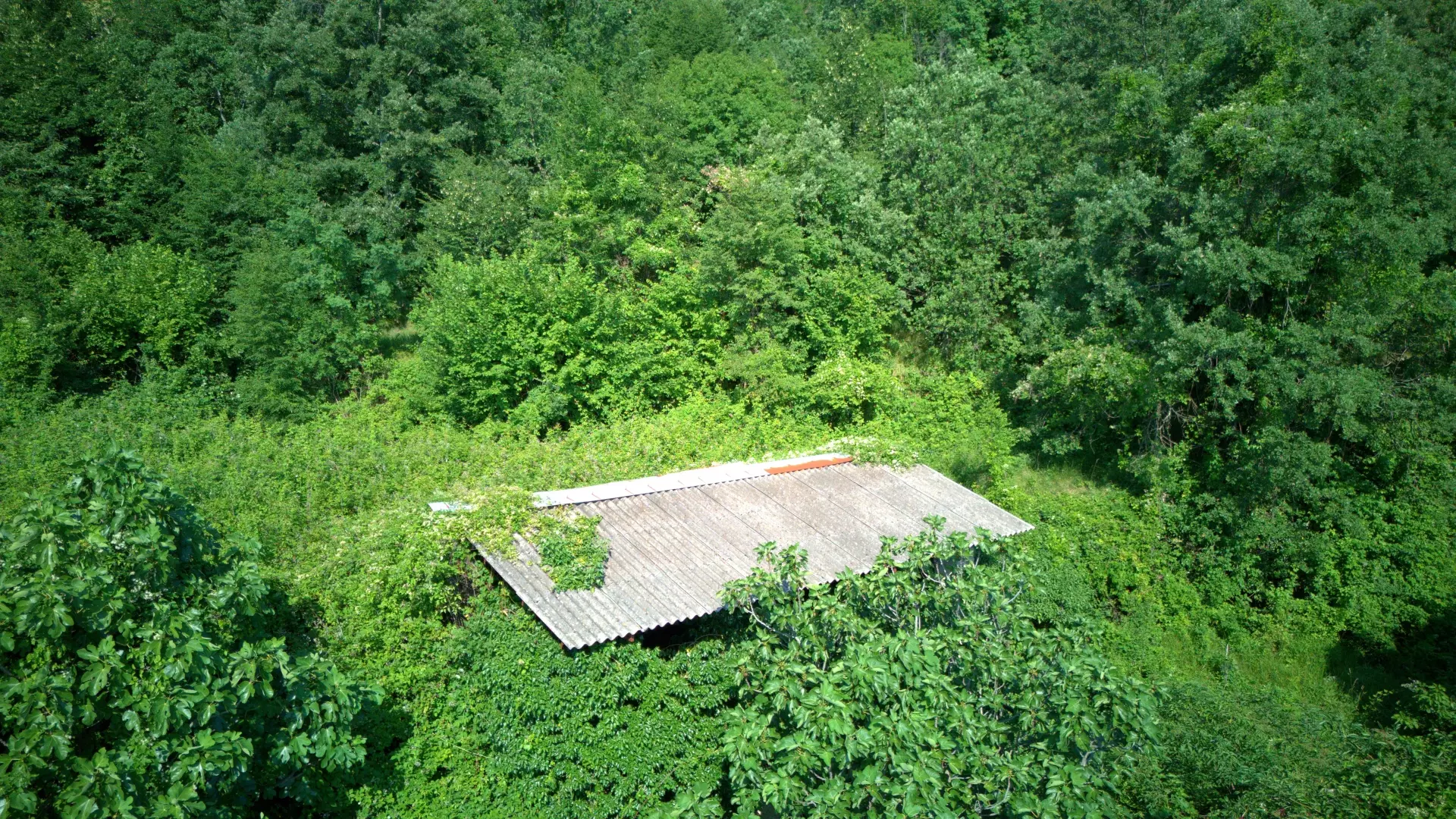 Land In Dobreć, Croatia (4.747 M²)