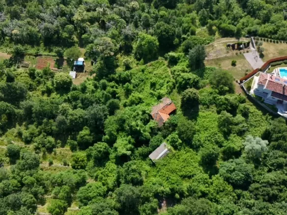 Land In Dobreć, Croatia (20.550 M²)