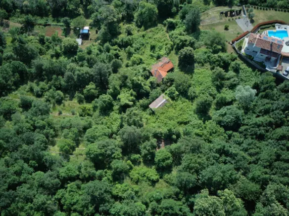 Land In Dobreć, Croatia (20.550 M²)