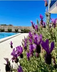 4-bedroom Villa In Vodice, Croatia (290 M²)