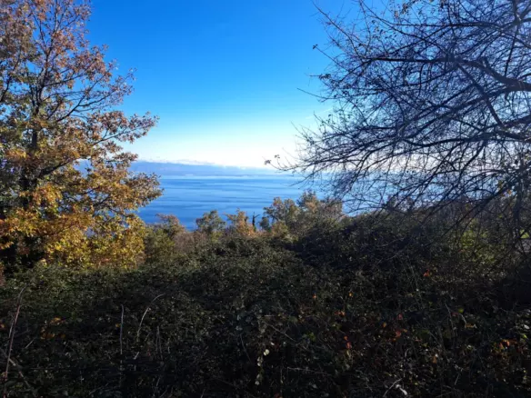Land In Dobreć, Croatia (20.550 M²)