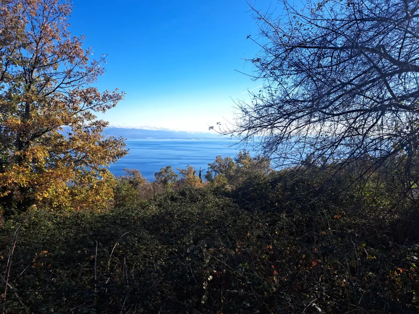Land In Dobreć, Croatia (20.550 M²)