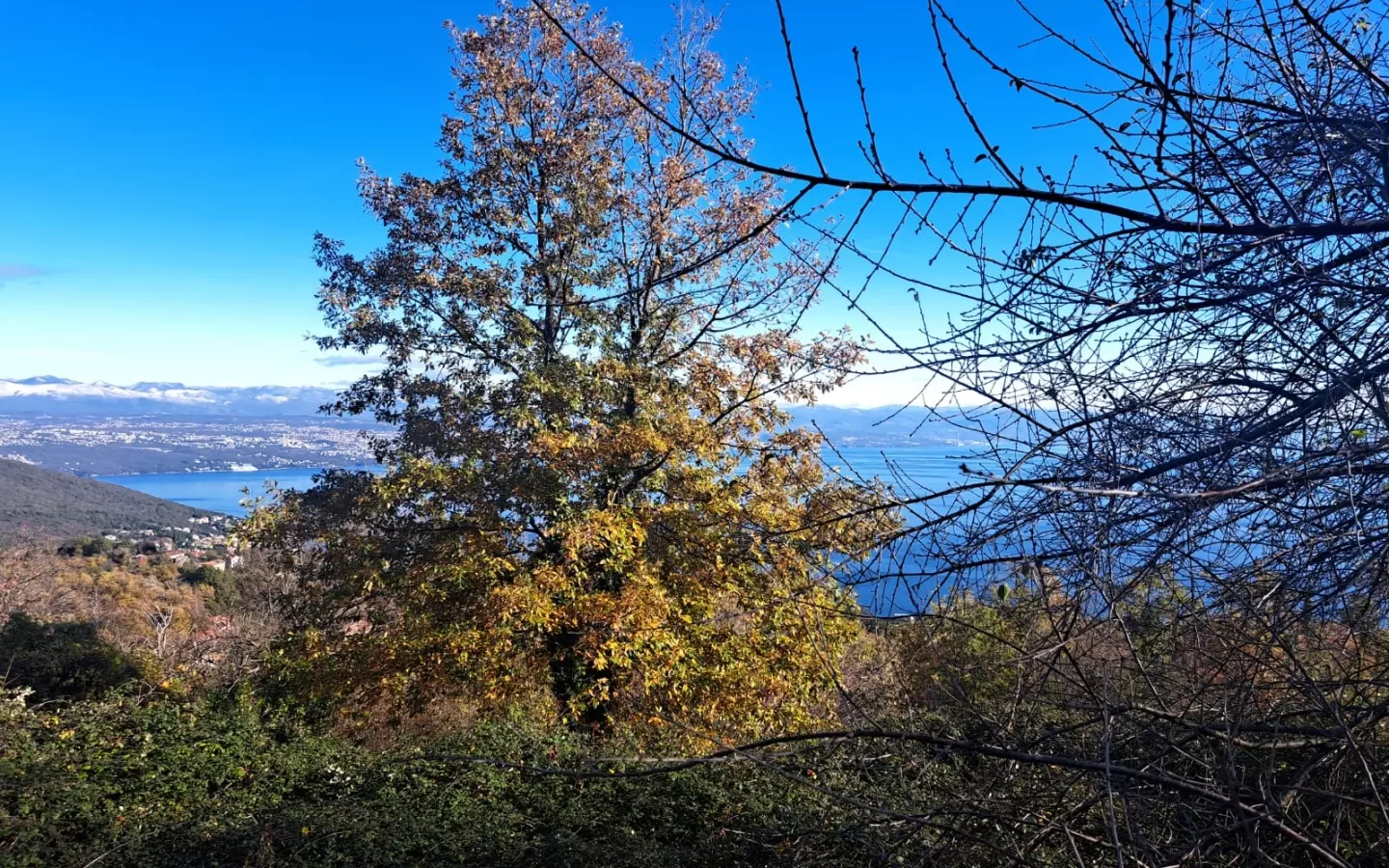 Land In Dobreć, Croatia (20.550 M²)