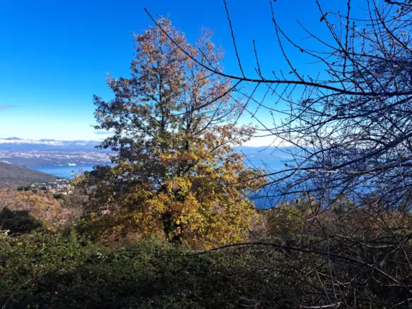 Land In Dobreć, Croatia (20.550 M²)