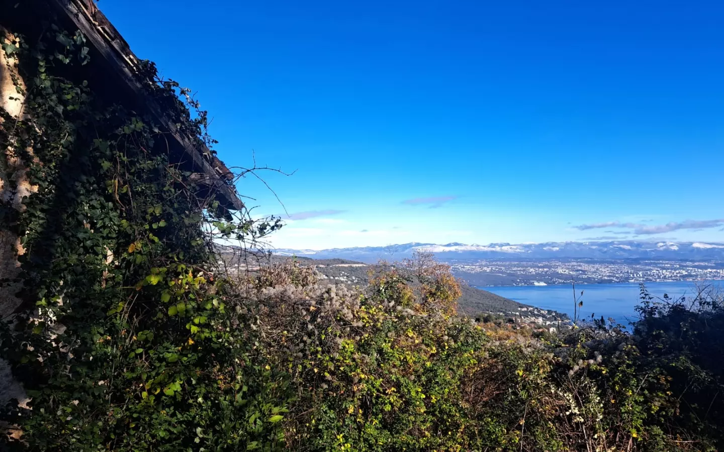 Land In Dobreć, Croatia (20.550 M²)