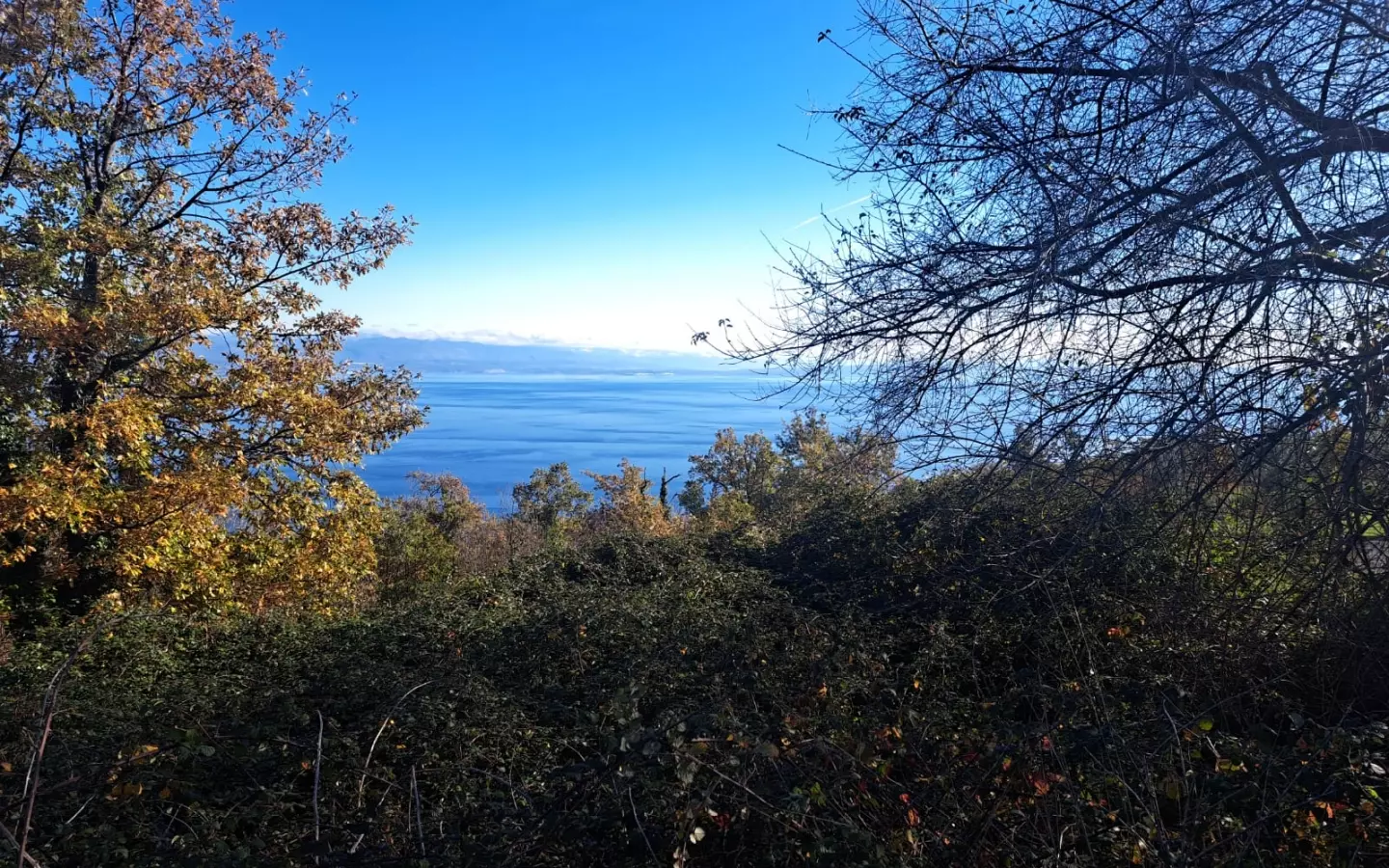 Land In Dobreć, Croatia (2.088 M²)