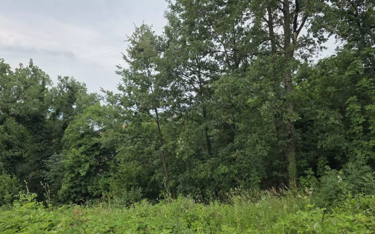 Land In Bregi, Croatia (1.200 M²)