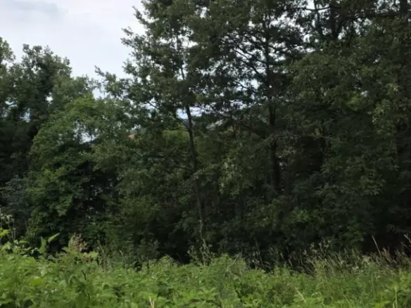 Land In Bregi, Croatia (1.200 M²)
