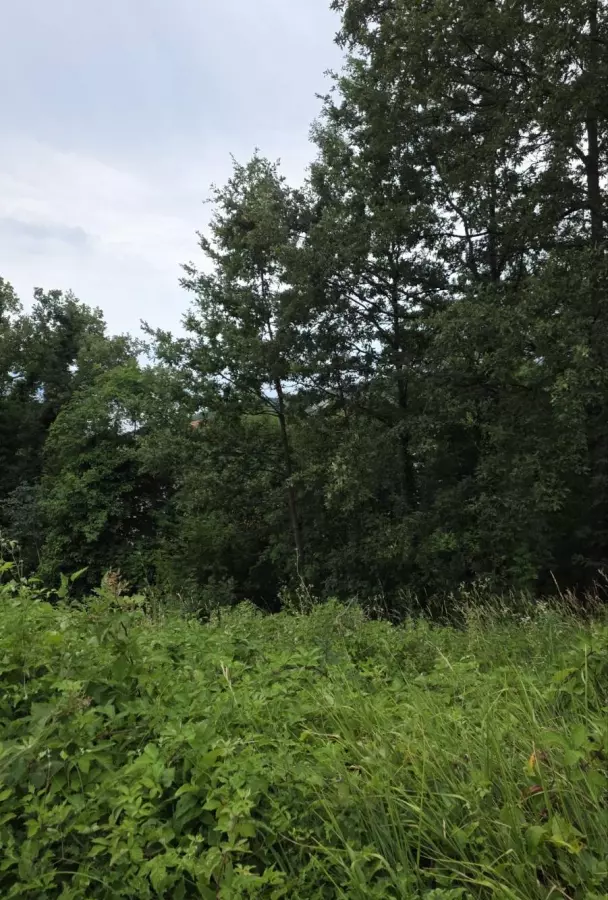 Land In Bregi, Croatia (1.200 M²)