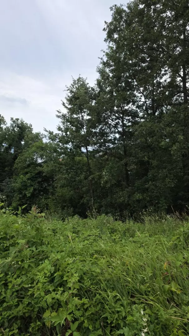 Land In Bregi, Croatia (1.200 M²)