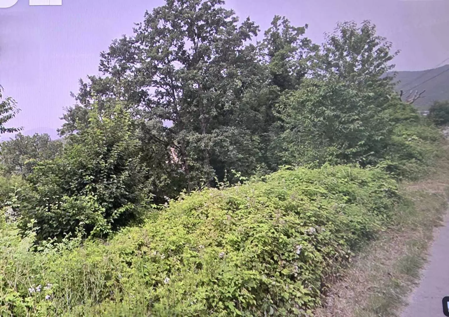 Land In Bregi, Croatia (1.200 M²)