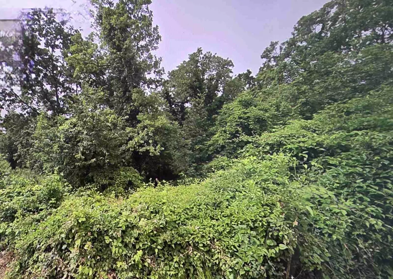 Land In Bregi, Croatia (1.200 M²)