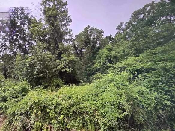 Land In Bregi, Croatia (1.200 M²)