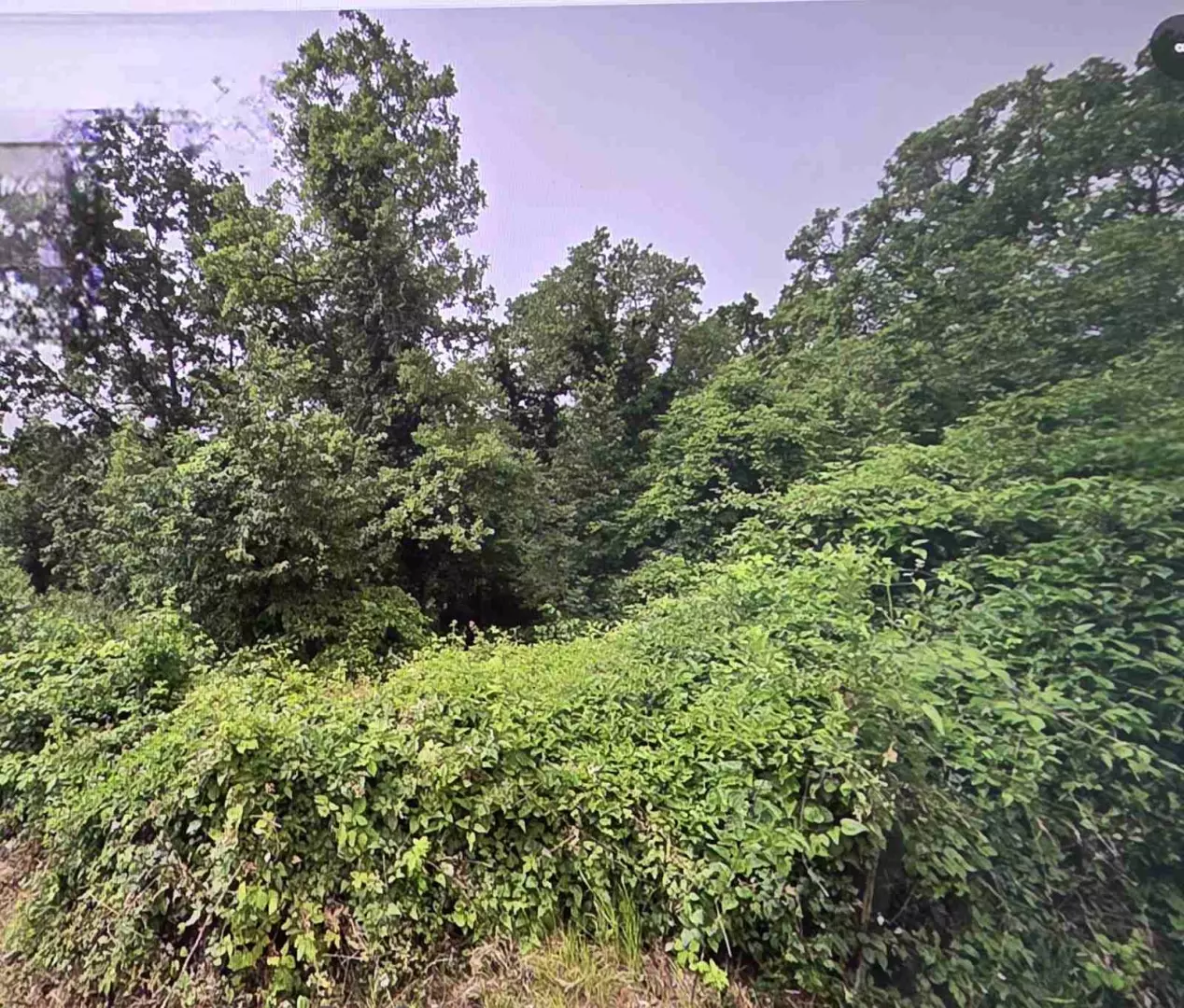 Land In Bregi, Croatia (1.200 M²)