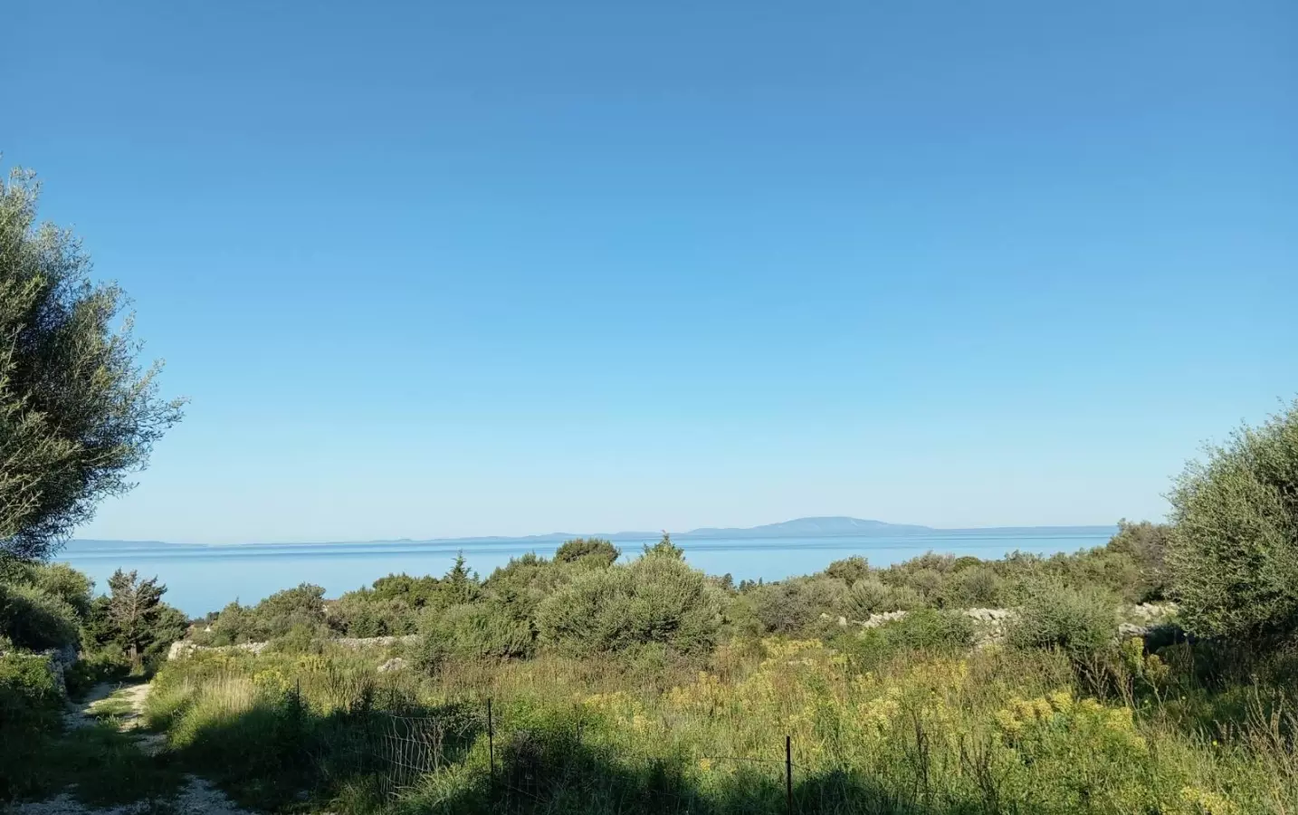 Land In Lun, Croatia (2.286 M²)