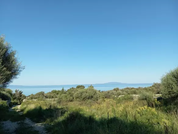 Land In Lun, Croatia (2.286 M²)