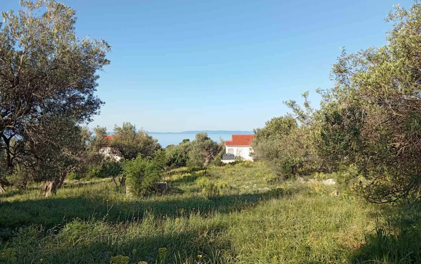 Land In Lun, Croatia (2.286 M²)