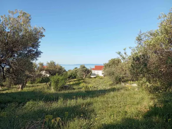 Land In Lun, Croatia (2.286 M²)