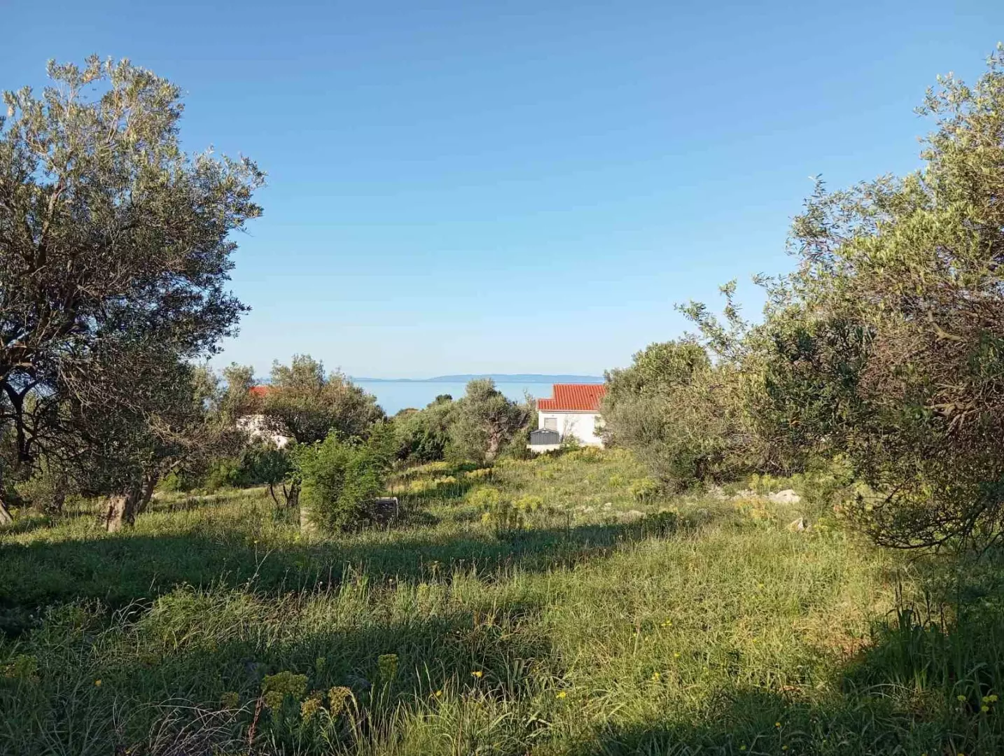 original_1784631889_5-f7b894 Land In Lun, Croatia (2.286 M²)