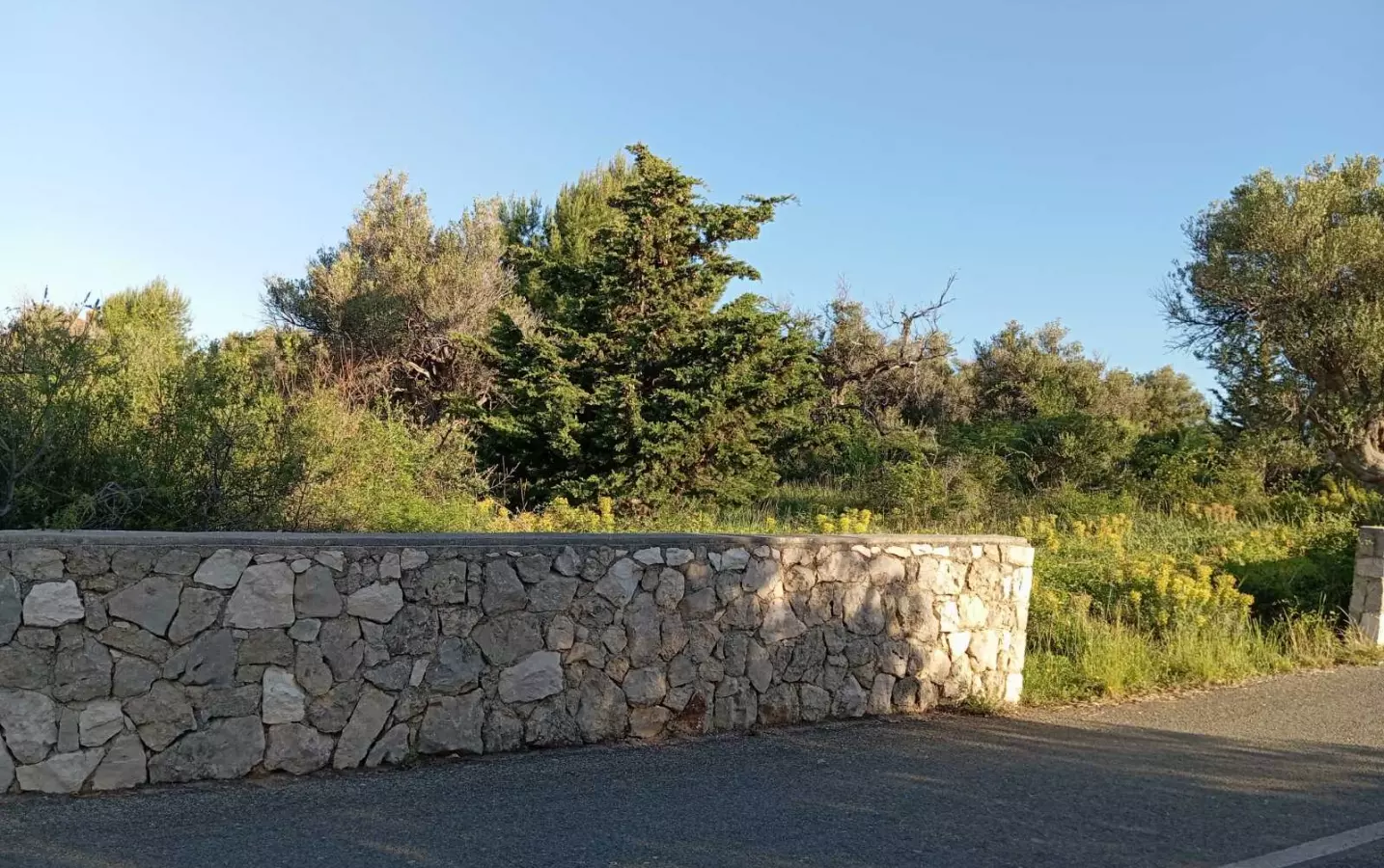 Land In Lun, Croatia (2.286 M²)