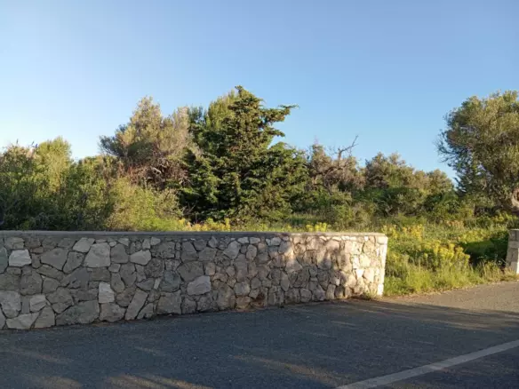 Land In Lun, Croatia (2.286 M²)