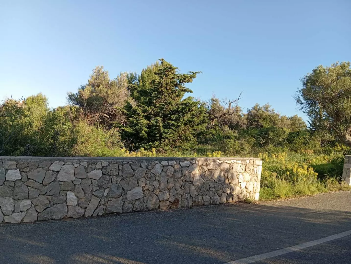original_1784631895_7-7027aa Land In Lun, Croatia (2.286 M²)