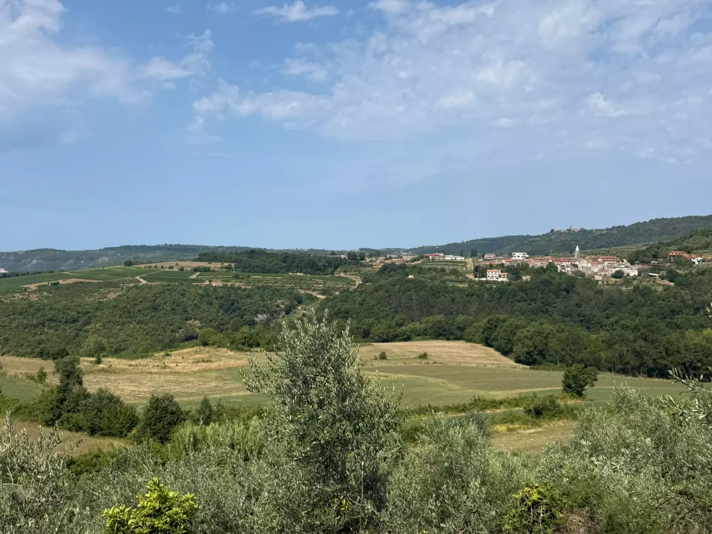 Land In Grožnjan, Croatia (622 M²)