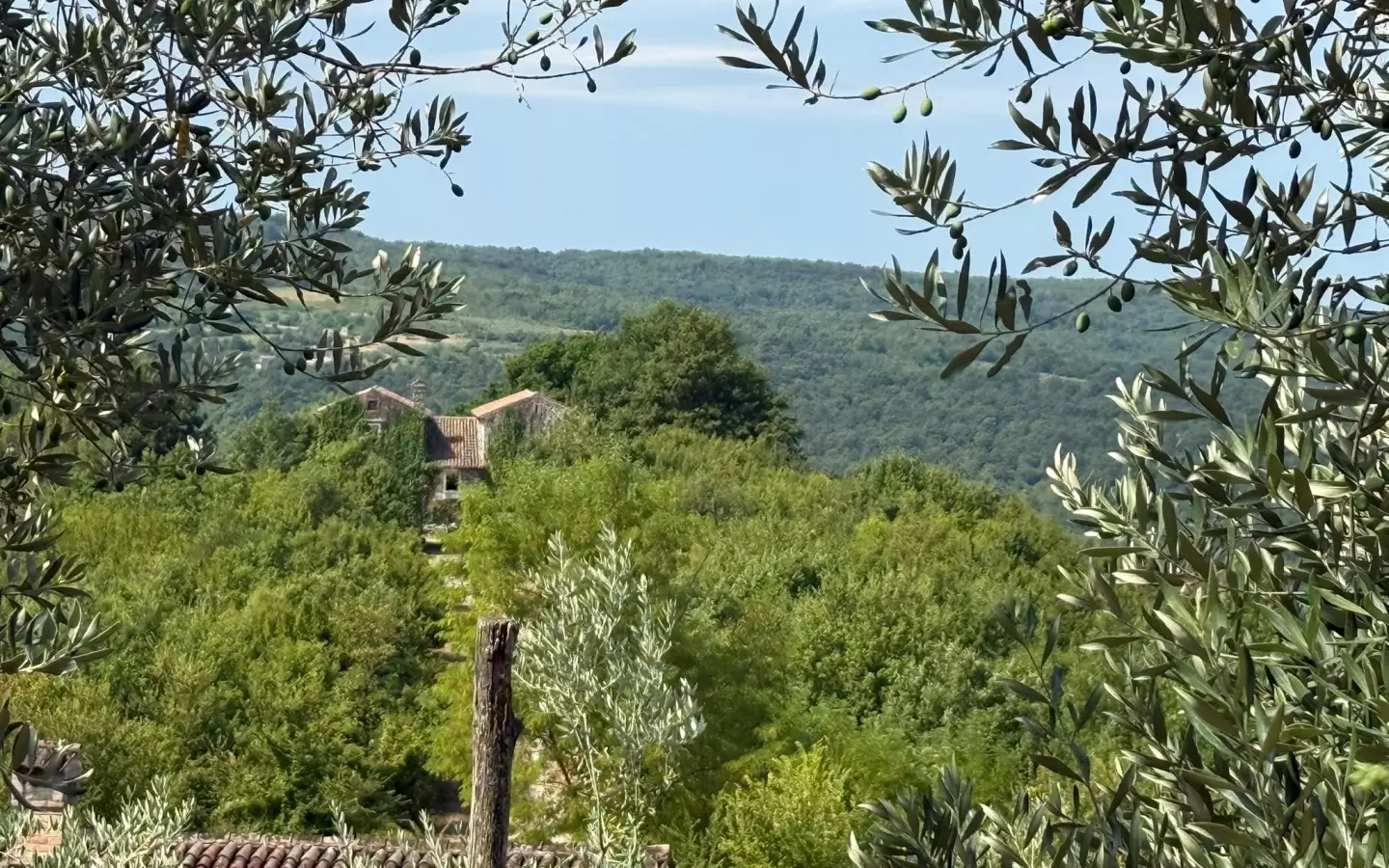 Land In Grožnjan, Croatia (622 M²)