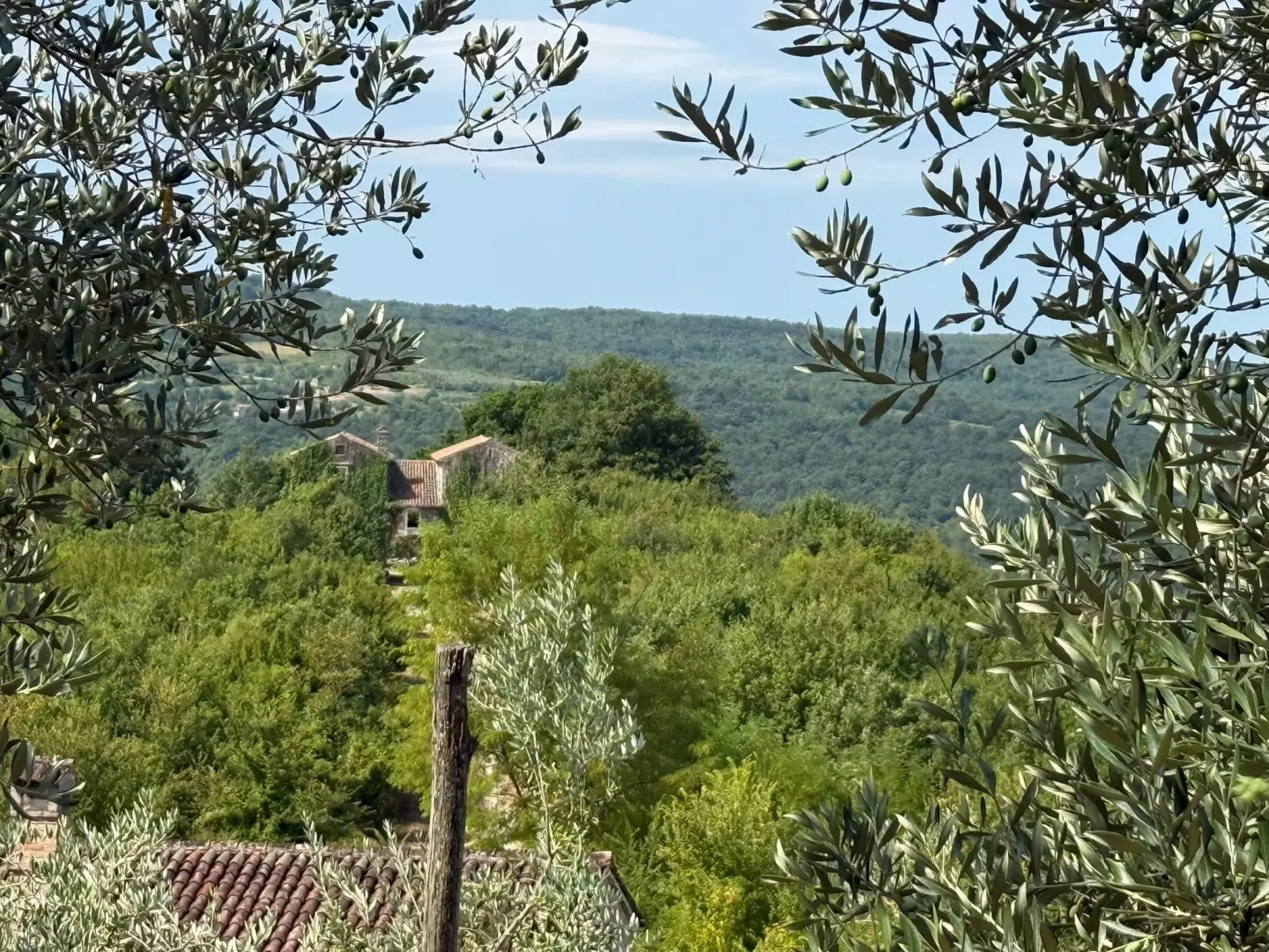 Land In Grožnjan, Croatia (622 M²)