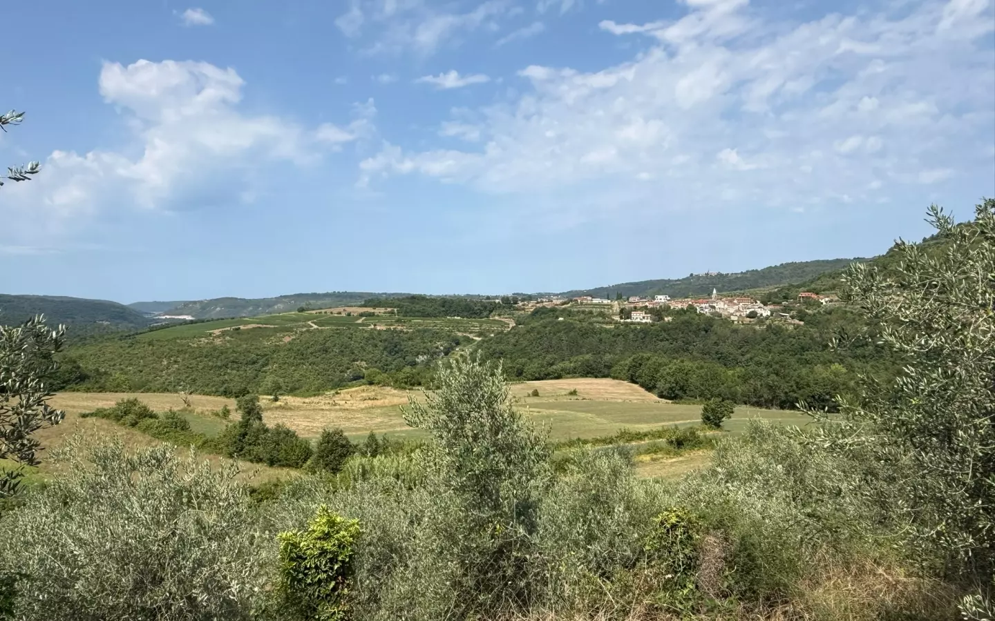 Land In Grožnjan, Croatia (622 M²)