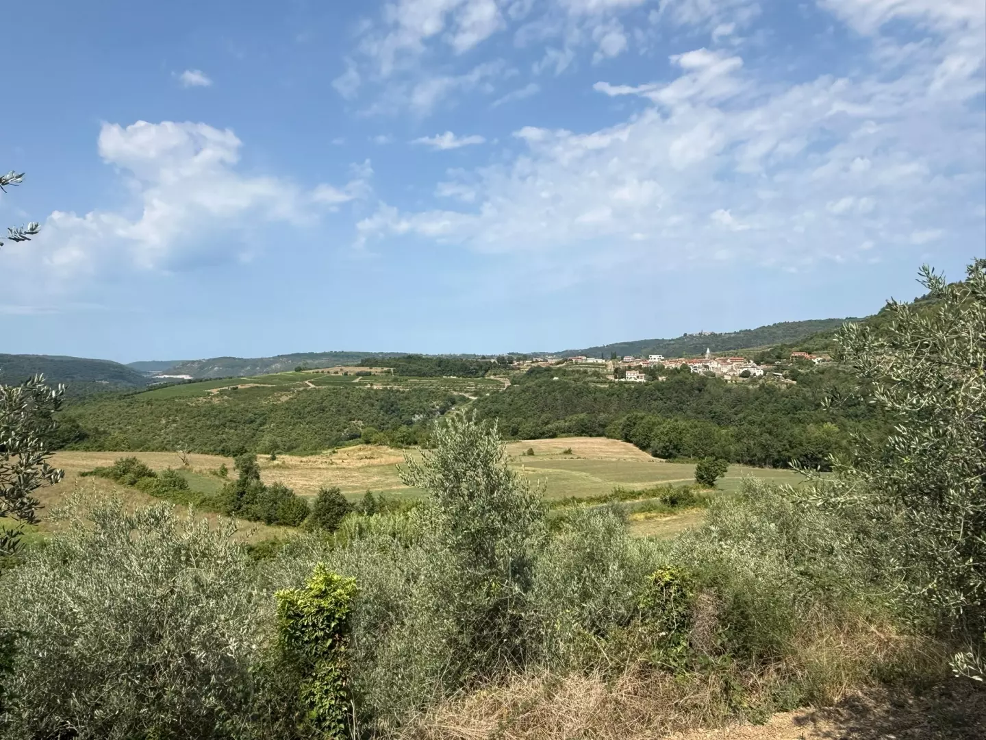 Land In Grožnjan, Croatia (622 M²)