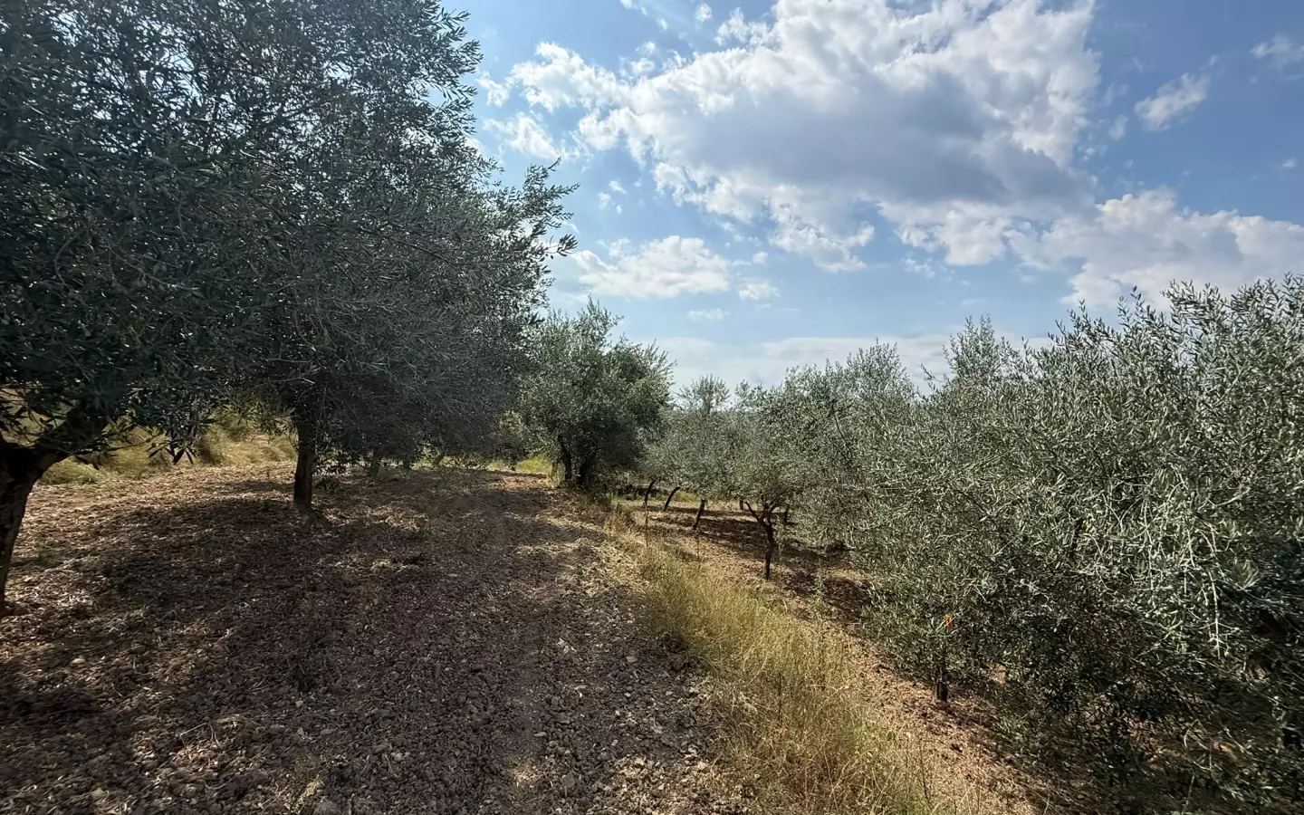 Land In Grožnjan, Croatia (622 M²)