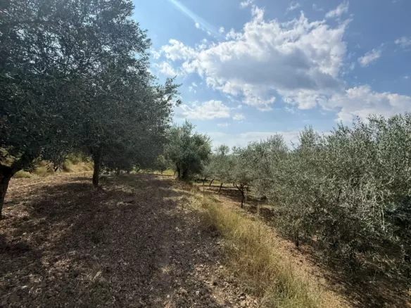Land In Grožnjan, Croatia (622 M²)