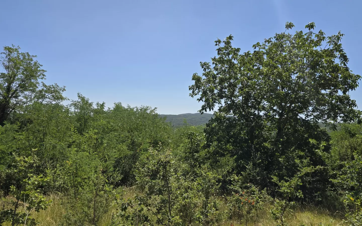 Land In Labin, Croatia (1.241 M²)