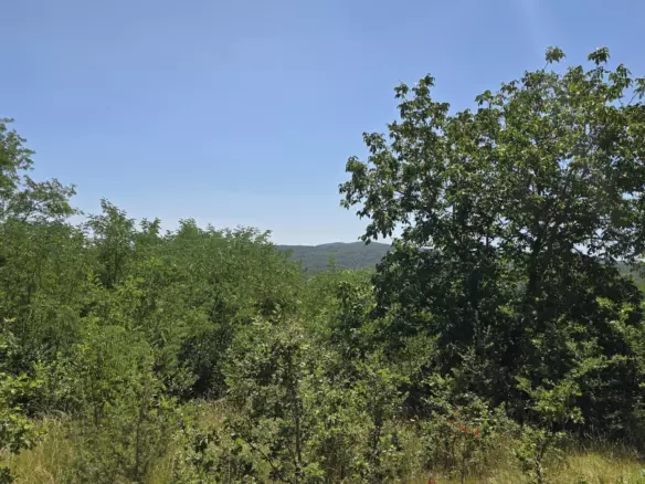 Land In Labin, Croatia (1.241 M²)