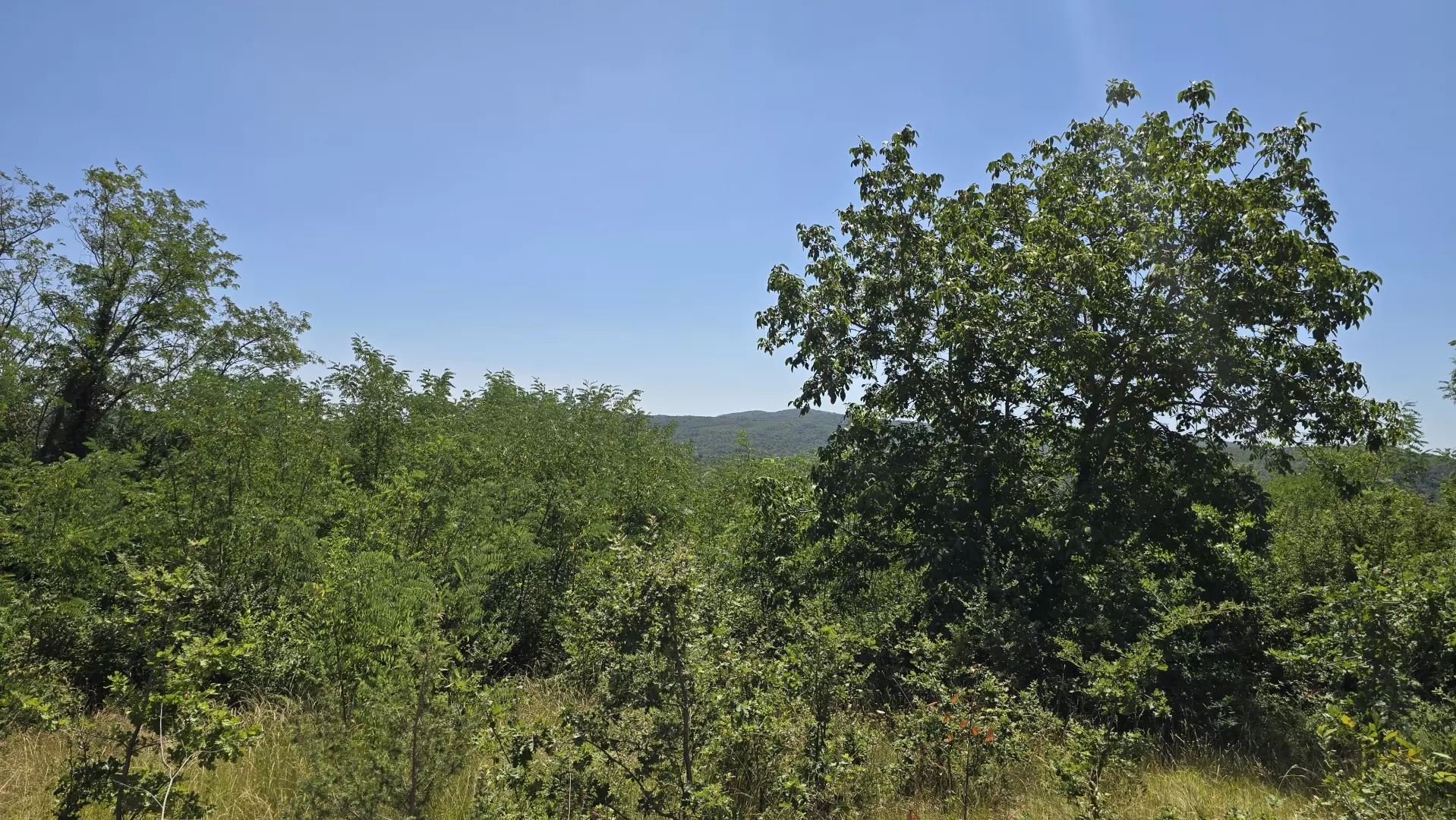 original_1784806745_1000229383-aa18a5 Land In Labin, Croatia (1.241 M²)