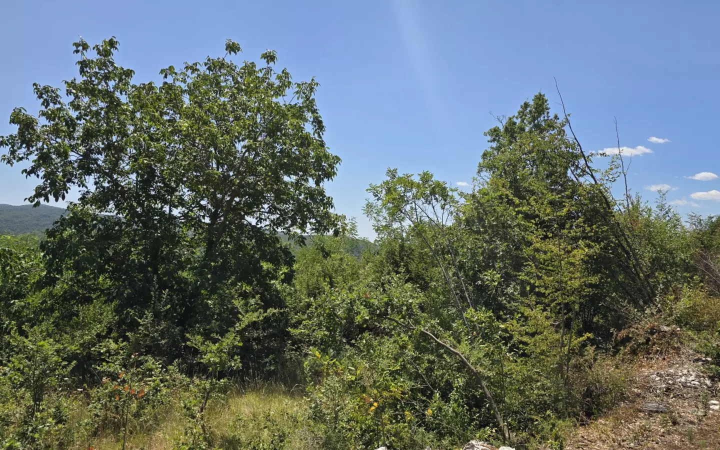 Land In Labin, Croatia (1.241 M²)