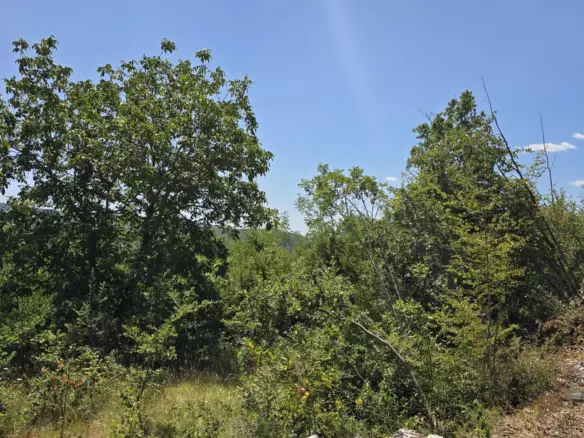 Land In Labin, Croatia (1.241 M²)
