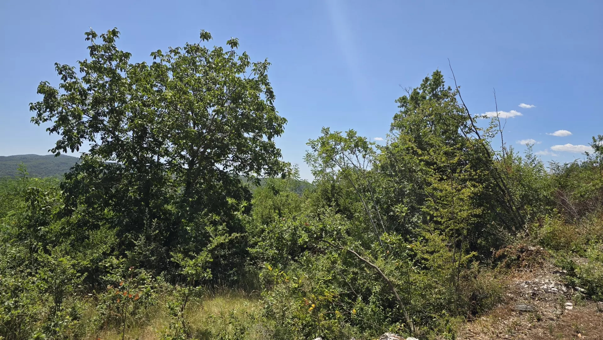 original_1784806750_1000229384-4f7019 Land In Labin, Croatia (1.241 M²)